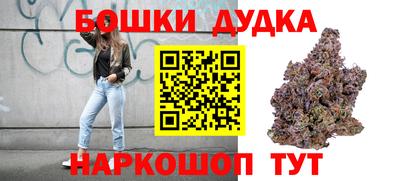 сатива Краснодар