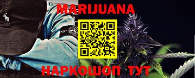 сатива Краснодар
