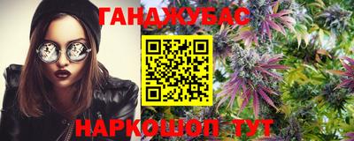 сатива Краснодар