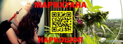 сатива Краснодар