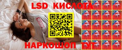 сатива Краснодар
