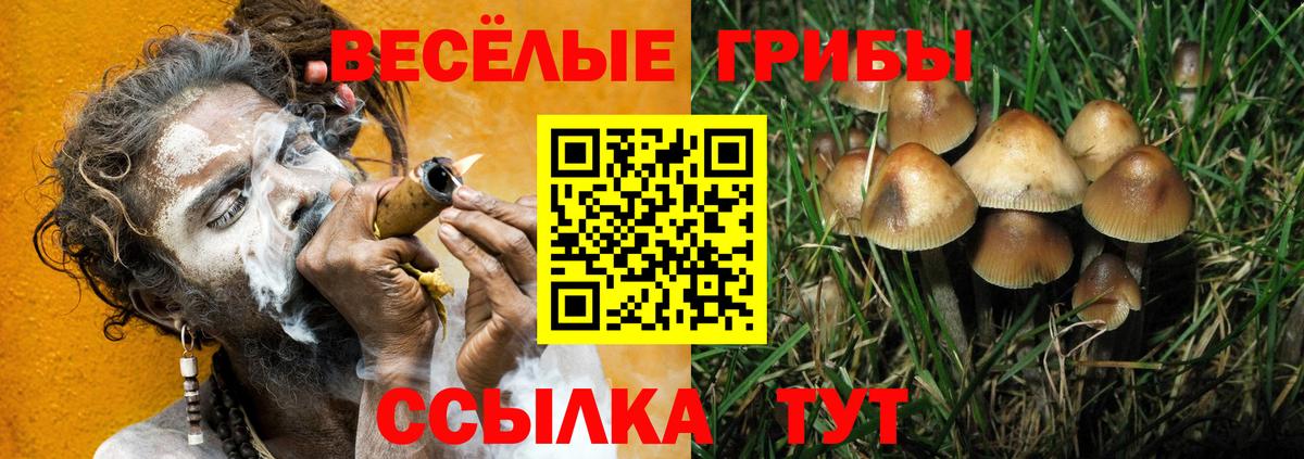 магазин    Вход с VPN  Сызрань  Галлюциногенные грибы мухоморы  Псилоцибиновые грибы MAGIC MUSHROOMS 